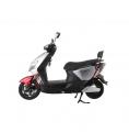  Forte RANGER -